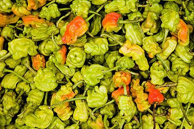 《哥谭骑士》发布新补丁 提升游戏性能